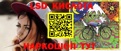 сатива Гудермес