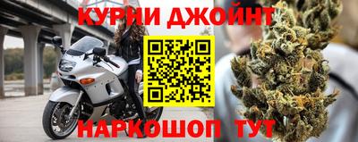 сатива Гудермес