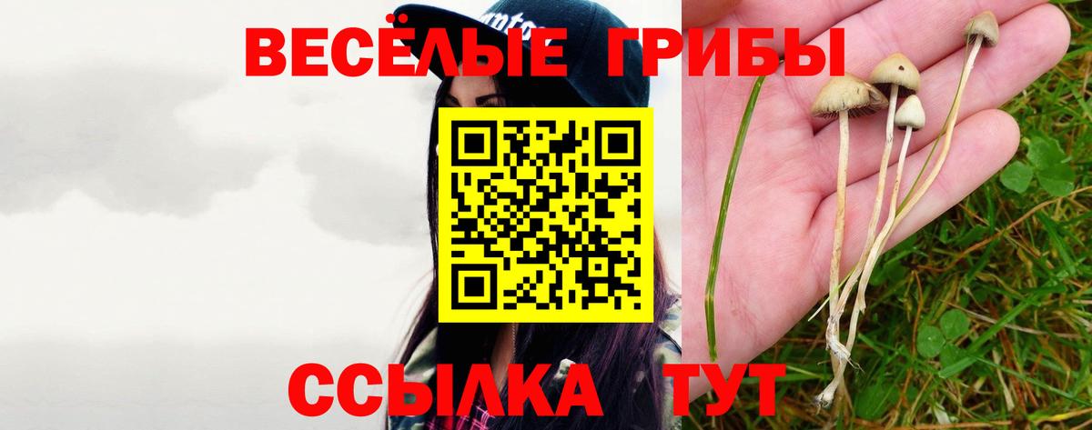 Белебей  Псилоцибиновые грибы Cubensis  цена наркотик  Вход с VPN 